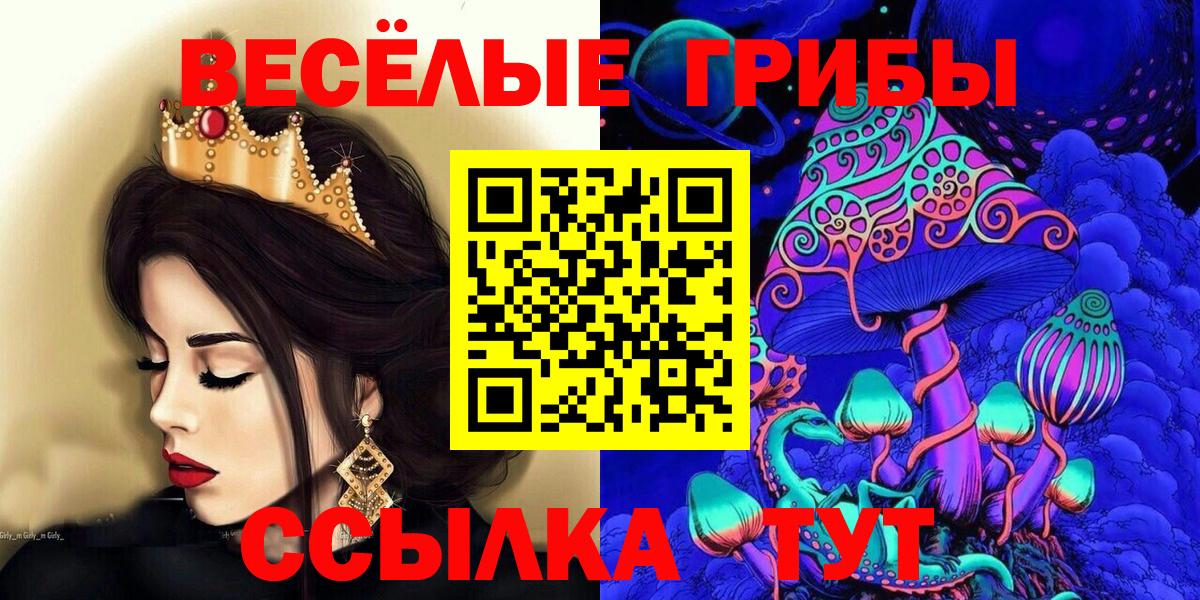 Галлюциногенные грибы GOLDEN TEACHER  Галлюциногенные грибы Cubensis  Вход с VPN  Отрадное 